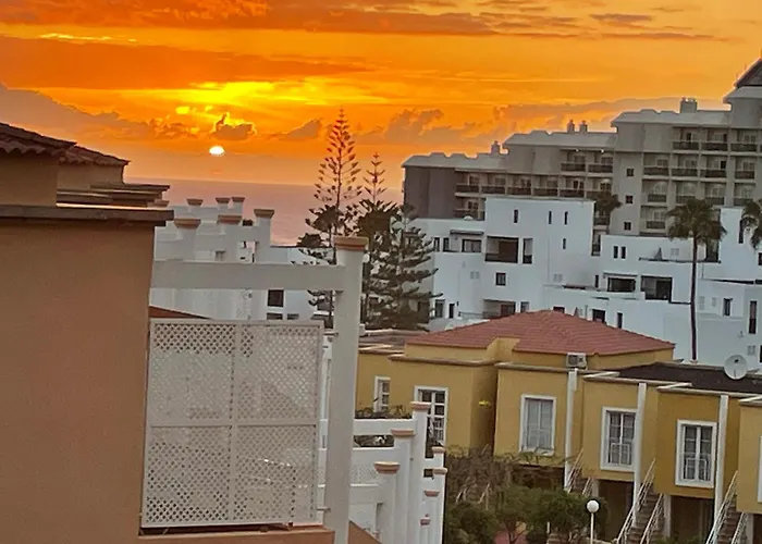 Sunny Dream - Адехе